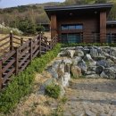 보현산자연휴양림 산 이미지