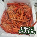 농수산 | 🦀 제철 홍게, 가성비 최고! 영덕농수산 파지홍게 3kg 솔직 후기