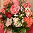 온아한꽃
