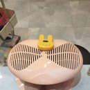 레미네일속눈썹 이미지