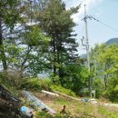 인월카센타 이미지