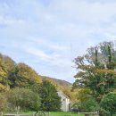 영국농장 | 영국 포크스톤 리틀파딩로팜 레스토랑 Farthingloe 브런치 후기