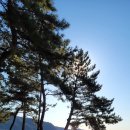 완도해송팬션 이미지