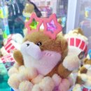 픽픽픽토리 이미지