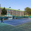 성균관대국가대표 태권도장 이미지