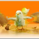 주신 주식회사 이미지