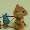 만천로143번길 | 보영이네해물칼국수직영점, 보영이네포차, 춘천칼국수맛집, 보영이네본점 차이, 내돈내산