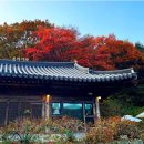 온더 이미지