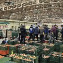 안동농협농산물공판장 | 안동농협 농산물공판장, 출하장려금 확대 추진