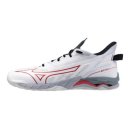 백암면다목적체육관_R | [내돈내산(1)]이것 신고 셔틀콕 박살내기^^~~미즈노 MIZUNO 배드민턴화.인도어화.핸드볼화 웨이브...