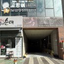 눈숲 이미지