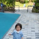 백일홍어린이공원 이미지