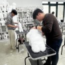 J애견미용 이미지