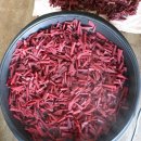 한마음농장 2 이미지