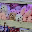 고성공룡나라(통영)휴게소 이미지