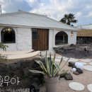 애월무아 이미지