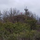 옥 태양광발전소 이미지