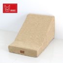 브라운퍼피 이미지