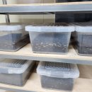 정원농장 이미지