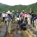 송원농장 이미지