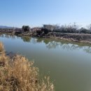 대저정미소 이미지