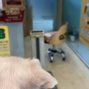 부천종합동물병원 이미지