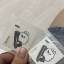 아이센스 블랙라벨 PC존 수원인계점 이미지