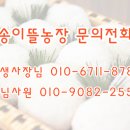 고향뜰 농장 이미지