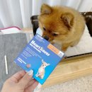 주식회사 중앙바이오텍 이미지