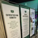 [가평] 물멍 물고기멍 즐길 수 있는 물고기 천국 아쿠아가든카페 후기(feat. 가평 가볼만한곳)