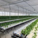 지원농장 이미지