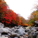 색놀이터제주