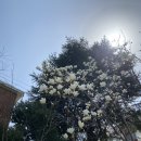 (주)예뻐지다