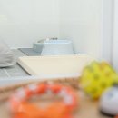 의정부 애견호텔 SM펫살롱 이미지