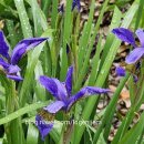 오퍼커션 앙상블 <타악기와 썸타다> 이미지