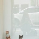 식구디자인