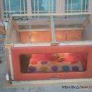 뽕이랑 귀농이랑 이미지