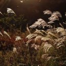 노고록이 이미지