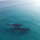 고래당구장 이미지