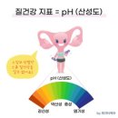 도로시여성의원