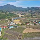 지성마을 이미지