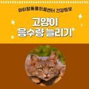 아이맘동물의료센터 이미지