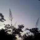 삶 오로지 다 이미지