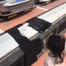 리안이네농장 이미지