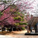 순천의료원 공원 네이버블로그