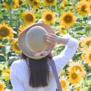 (주)산동개발 이미지