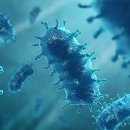 광진24시 필동물병원 이미지