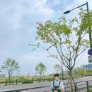 수지만물상 이미지