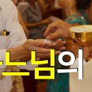 2024년 08월 09일 / 연중 제18주간 금요일 이미지