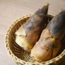 죽순 이미지
